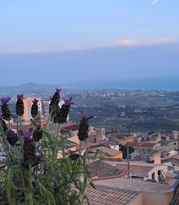 Casuzza Al Duomo Con Vista Valle Dei Templi! Αγκριτζέντο Εξωτερικό φωτογραφία